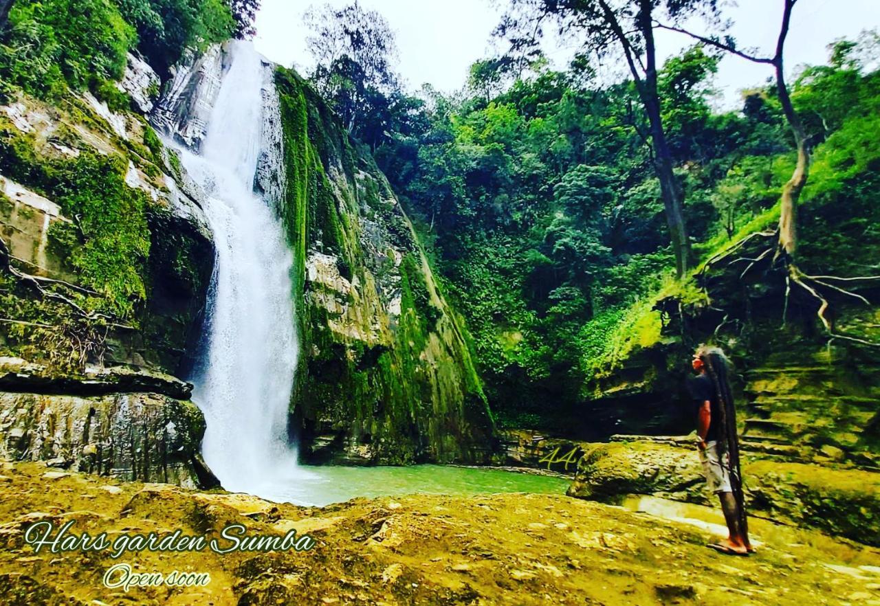 Готель Hars Garden Sumba Вайнгапу Екстер'єр фото